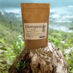 Milk thistle 100 gelatin capsules liver support