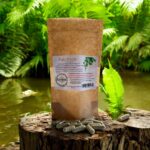 Birch buds 100 gelatin capsules ANTI-INFLAMMATORY ANTI-RHEUMATIC