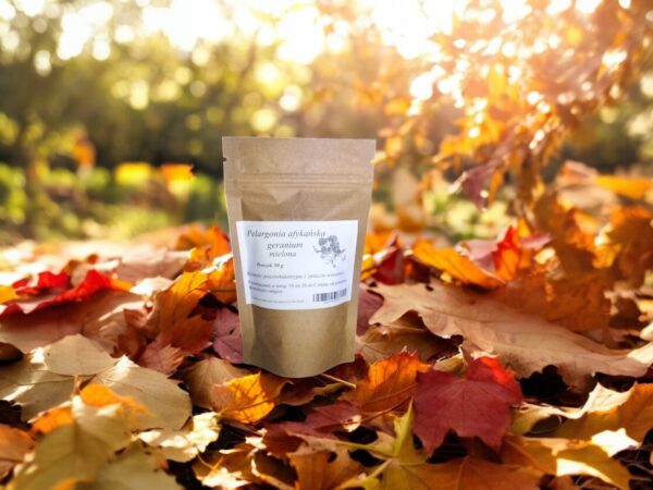 African Pelargonium Powder 50g Antiviral, COVID - Image 1