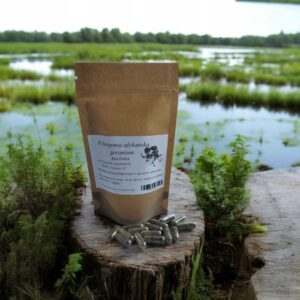 African Pelargonium in vege capsules 100 pcs. antiviral, COVID