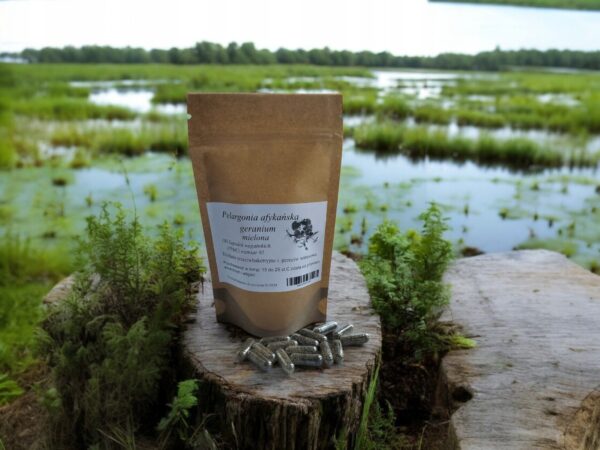 African Pelargonium in vege capsules 100 pcs. antiviral, COVID - Image 1