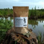 Wormwood 100 capsules PARASITES DIGESTION VIRUSES APPETITE