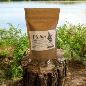 Wormwood 100 capsules VEGAN PARASITES DIGESTIVE VIRUSES APPETITE