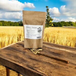 Golden flaxseed 100 capsules !!! fully VEGAN!! OMEGA 3 ACIDS