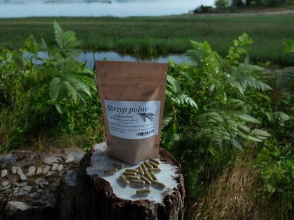 Horsetail 100 capsules !!!VEGAN!! healthy skin, hair and nails - Image 1