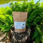 Sweet basil 100 gelatin capsules NORMALIZES BLOOD SUGAR LEVEL