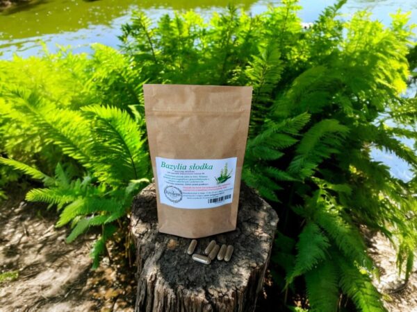 Sweet basil 100 gelatin capsules NORMALIZES BLOOD SUGAR LEVEL - Image 1