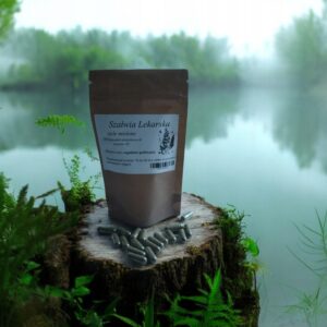 Sage 100 gelatin capsules !!!ANTI-SWEATING!!!