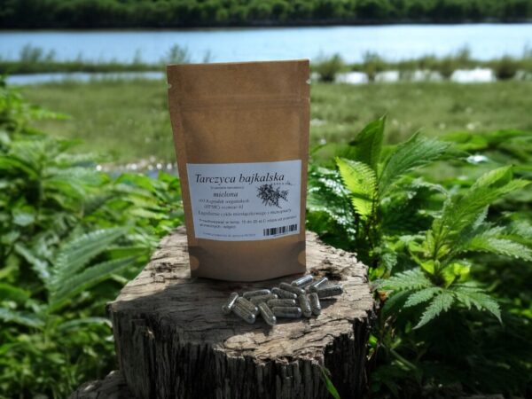 Baikal thyroid in vege capsules 100 pcs. anti-cancer - Image 1