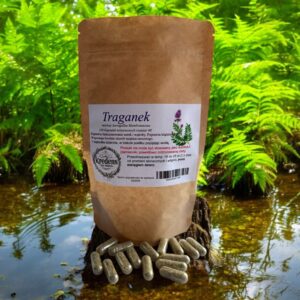 Astragalus 100 gelatin capsules LIVER KIDNEYS