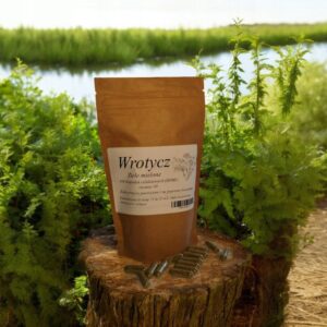 Tansy 100 capsules VEGAN PARASITES DIGESTING VIRUSES