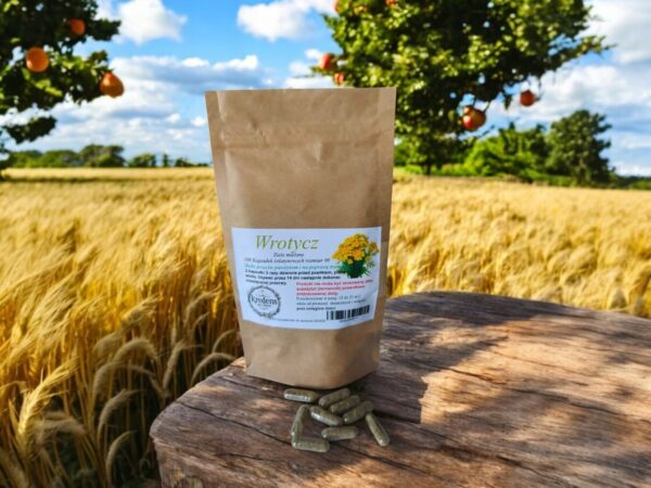 Tansy 100 gelatin capsules PARASITES DIGESTION VIRUSES - Image 1