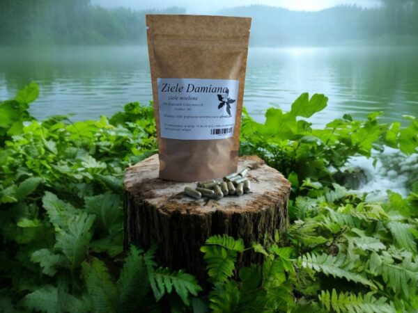 Damiana Herb 100 gelatin capsules OVERFATIGUE, APHRODISIAC - Image 1