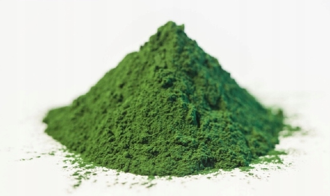 Chlorella Powder 1kg – The Best Sea Algae Superfood for Detox & Immunity